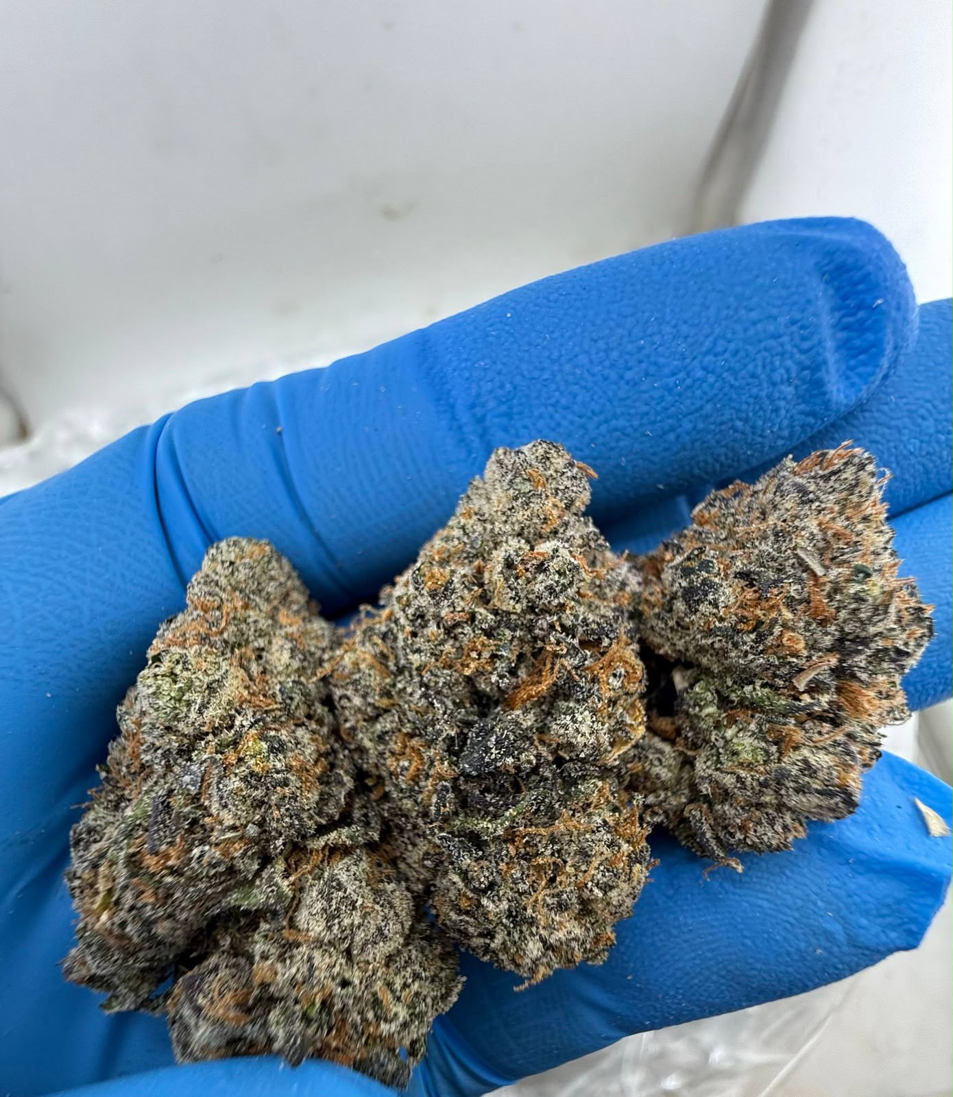 Candy Land