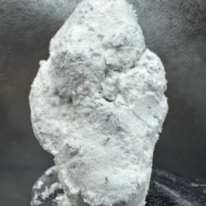 Ice Caps